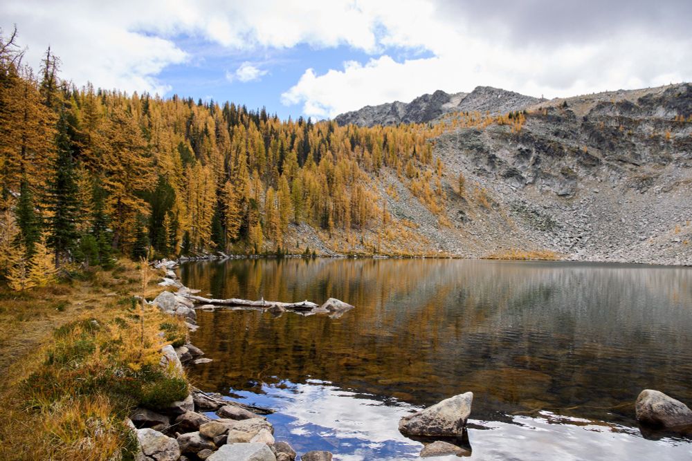 lake with trees around it