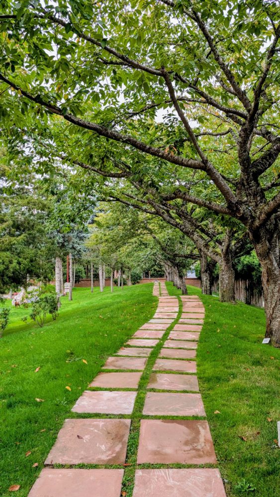 Peaceful path