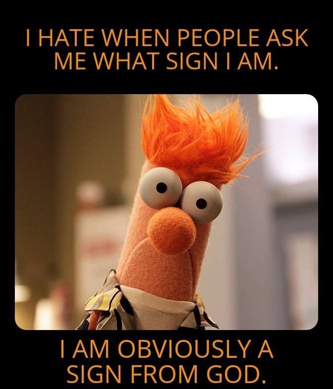 I hate when people ask what sign I am. I am obviously a sign from God. 
Image of Beeker from the Muppets making a face.