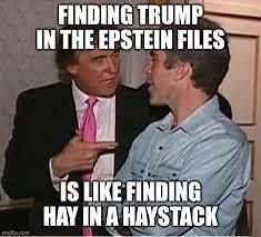 Finding Trump in the Epstein files us like finding hay in a haystack