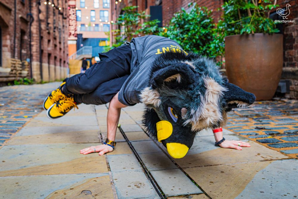 Kage Fursuiter performing side crow exercise outside.