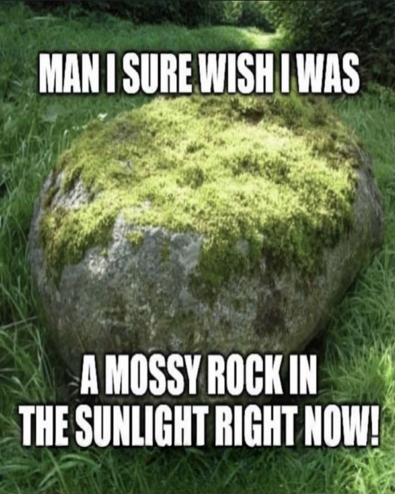 Man I Sure Wish I Was A Mossy Rock In The Sunlight Right Now