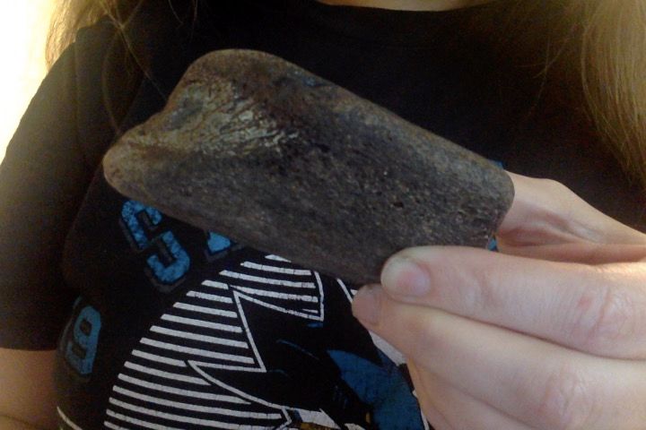 A woman's hand holding a chunk of dark, fossilized whalebone. The big cell structure can be seen at the end of it. She is wearing a San Jose Sharks hockey t-shirt.