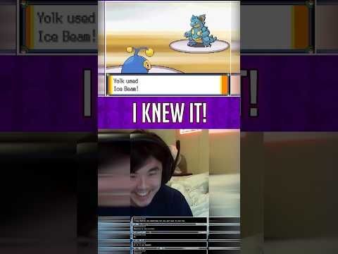 Reading the Trainer AI