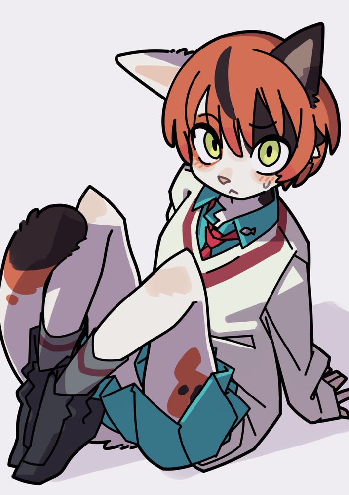 calico cat