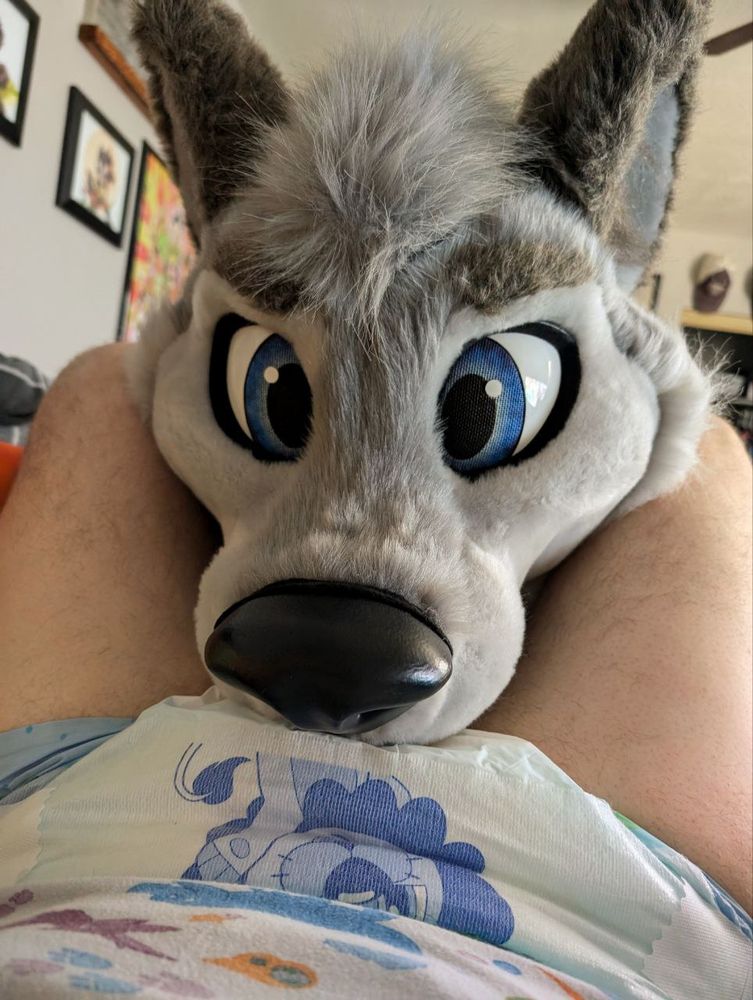 Photo of a wolf fursuit head held close against a thick adult diaper.