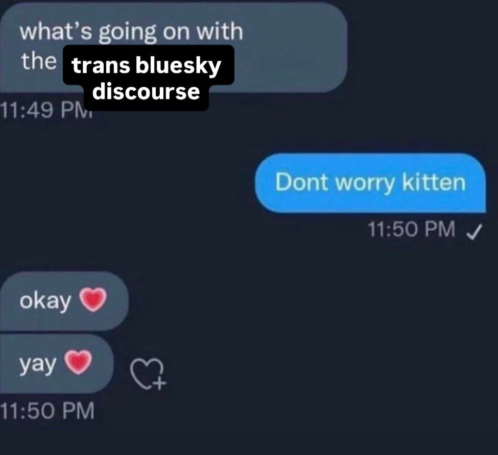 what’s going on with the economy meme don’t worry about it kitten meme but instead it says “trans bluesky discourse”