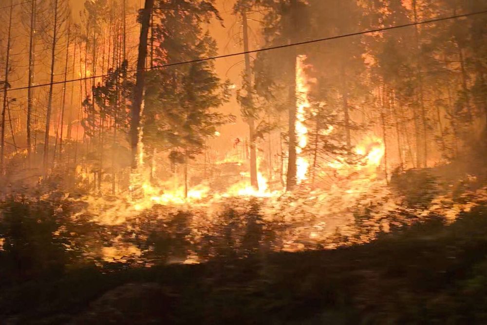 Les gigantesques incendies au Canada, en Amazonie et en Grèce ont été amplifiés par le réchauffement climatique