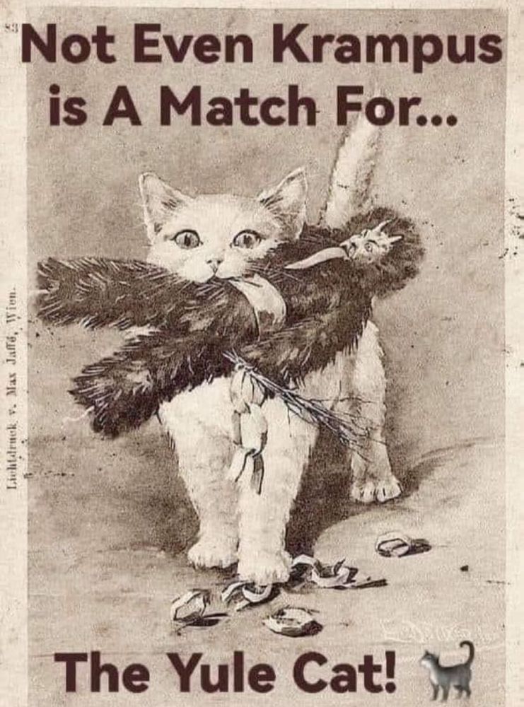 A picture with the words:  Not even Krampus is a match for…the Yule Cat!