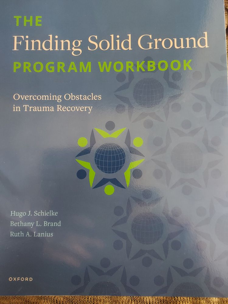 Cover vom finding solid ground Programm Workbook, Brand, lanius, schielke 