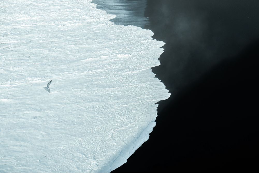 Une olage de sable noir couverte par des vagues, un oiseau vole au dessus de ces dernières