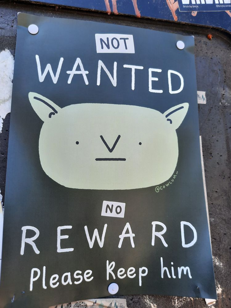Photo of a poster that has a cartoon cute goblin on it. Captioned "not wanted, no reward, please keep him" 