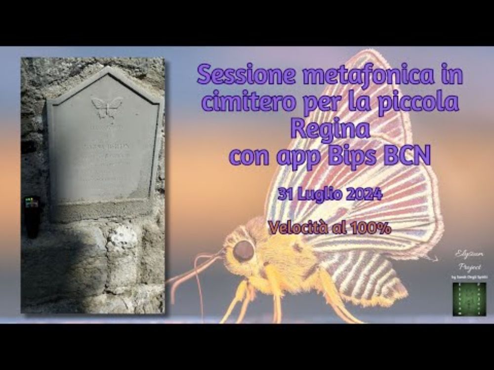 Sessione di #metafonia per Regina_31/07/2024_velocità 100% #paranormal #bips #ghosthunters