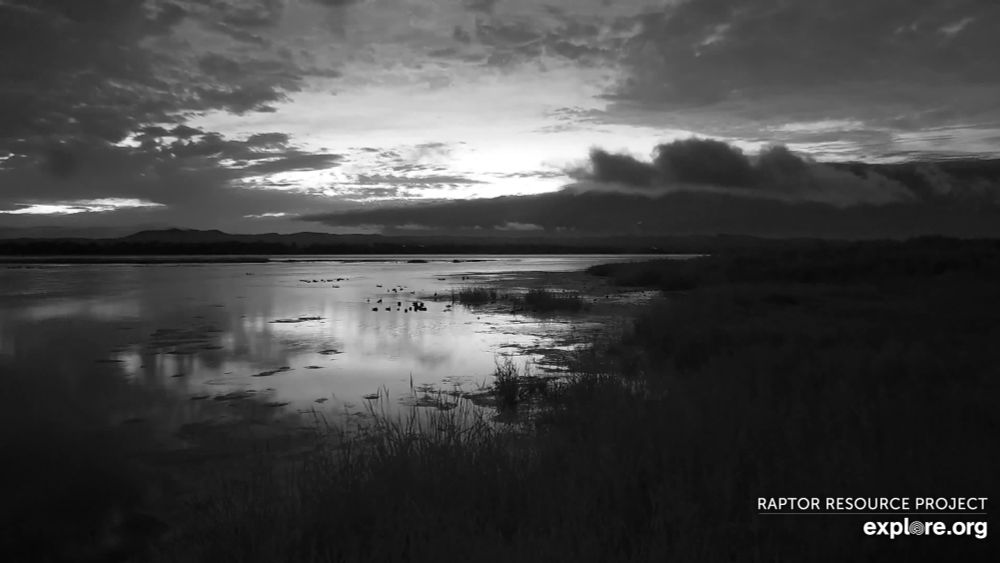 A black and white view of the Mississippi River. The banks of the river are in darkness, and the dawn light reflects off the water.