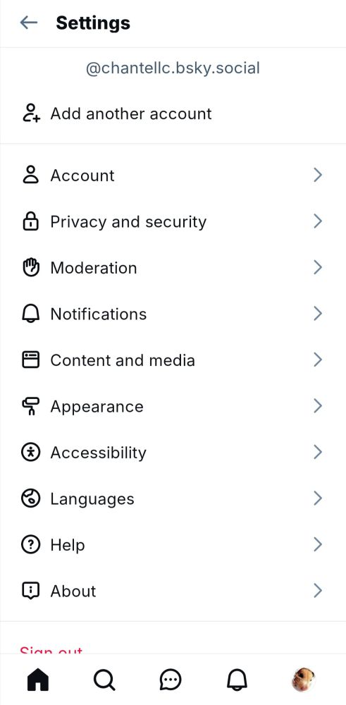A screenshot of the Bluesky settings page.