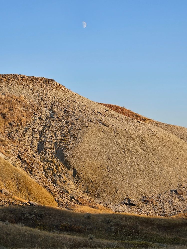 A hill of grayish dirt with rocks and short yellow grass. It is near dusk. A half moon is in the sky above.