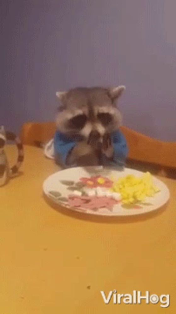 a raccoon sitting at a table with a plate of food on it