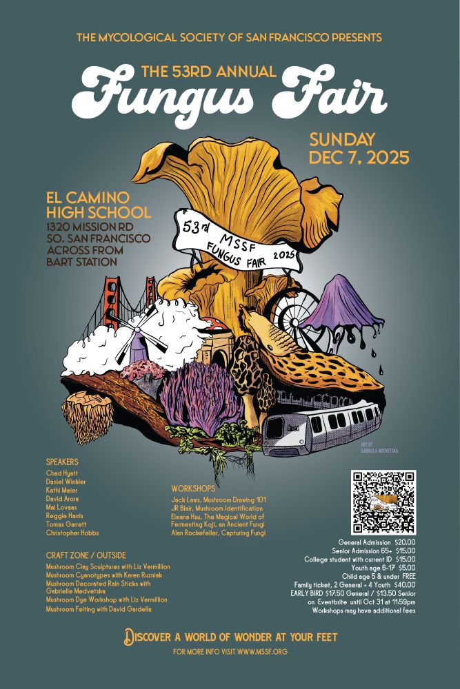 Poster for the 53rd Annual Mycological Society of San Francisco Fungus Fair coming up on Sunday December 7th, 2025.  It is a green-grey background with a central drawing of a creative mishmash of various mushrooms including chanterelles, inky caps and purple coral mushrooms, a BART train, windmill, some clouds, the Golden Gate Bridge, some green moss, and a spotted banana slug


Please come!  Magical displays of fungi on identification tables, with samples from all over the Bay Area (and the state,) wonderful speakers, inspiring classes and art, vendors, food, and more!

El Camino High School, 1320 Mission Rd South SF across from BART.

Speakers: Chad Hyatt, Daniel Winkler, Kathi Meier, David Arora, Mai Lovaas, Reggie Harris, Tomas Garrett, Christopher Hobbs.  

Craft Zone, Vending and Workshops with Jack Laws, JR Blair, Eleana Hsu, and Alan Rockefeller.