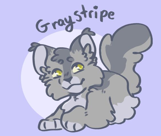 Fluffy gray cat with amber eyes