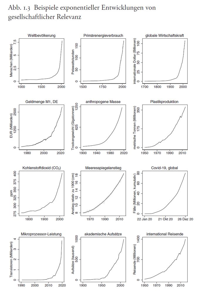 Eine Grafik, die 12 exponentielle Wachstumstrends mit steil nach oben ragenden Kurven zeigt: Weltbevölkerung, Primärenergieverbrauch, globale Wirtschaftskraft, Geldmenge Deutschlands, anthropogene Masse, Plastikproduktion, CO2, Meeresspiegelanstieg, Covid-19, Mikroporzessorleistung, akadeimsche Aufsätze, international Reisende