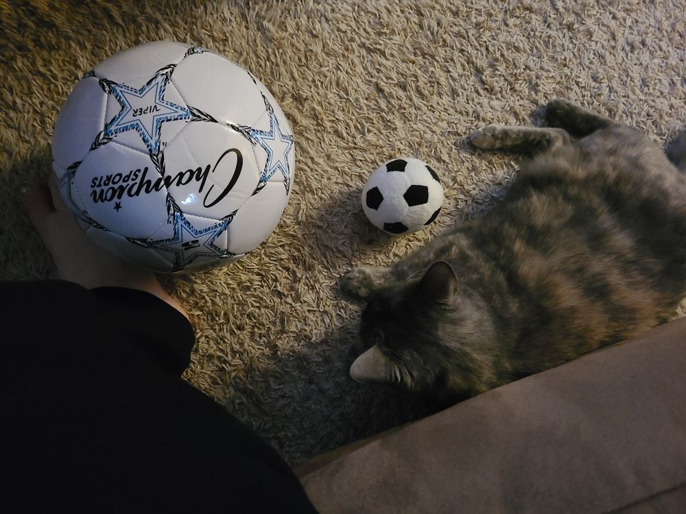 Little Messy cat with her soccer ball and my foot with mine. (I cannot play for nothing. Messy has some game.)