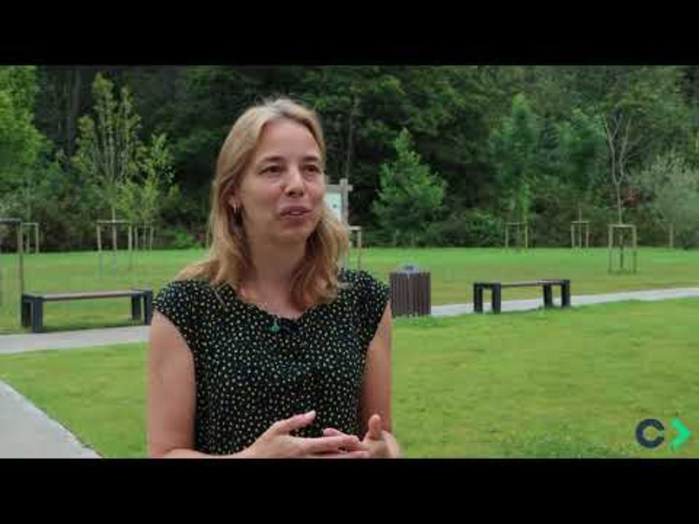 2º Zirkular Bat Workshop:La economía circular en la industria de las baterías: retos y oportunidades
