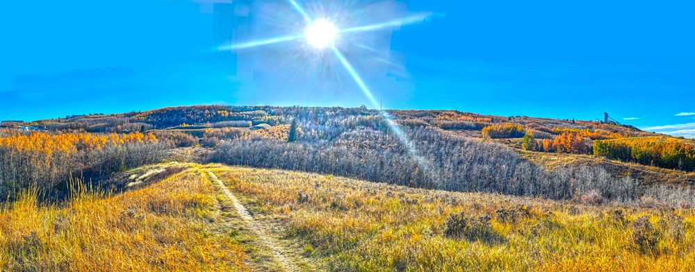 SUn shing on Paskapoo Slopes in Calgary AB Can