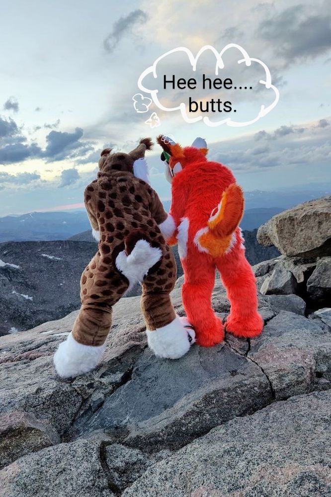 Two fursuiters stand near the mountain ridge facing away from the camera. A natural colored Lynx cat and Citrus orange deer. The thought bubble above the deer says "her hee, butts".