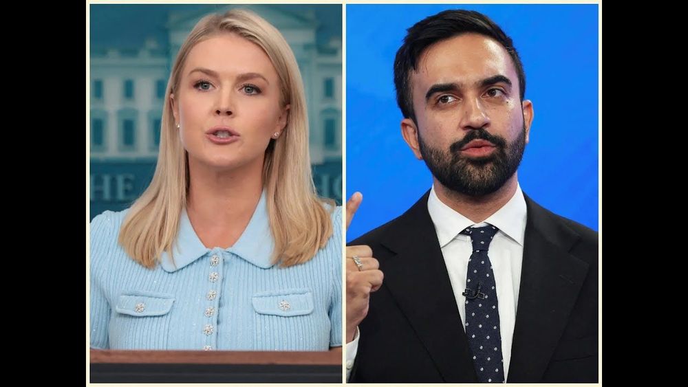 WATCH: Karoline Leavitt SMEARS Zohran Mamdani