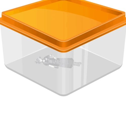 a clear plastic container with an orange lid and a bottle inside