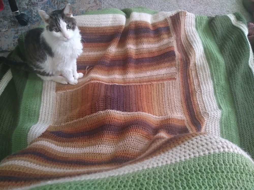 My black and white cat, Mack, sitting pretty on the completed blanket I crocheted for myself. 
