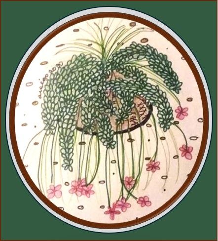 Sketch of an unknown botanical with green leaves and pink blossoms