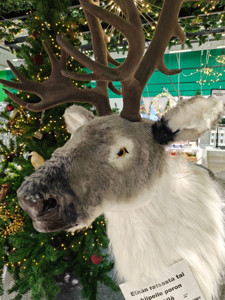 A close up photo of a life size shopping mall reindeer decoration.