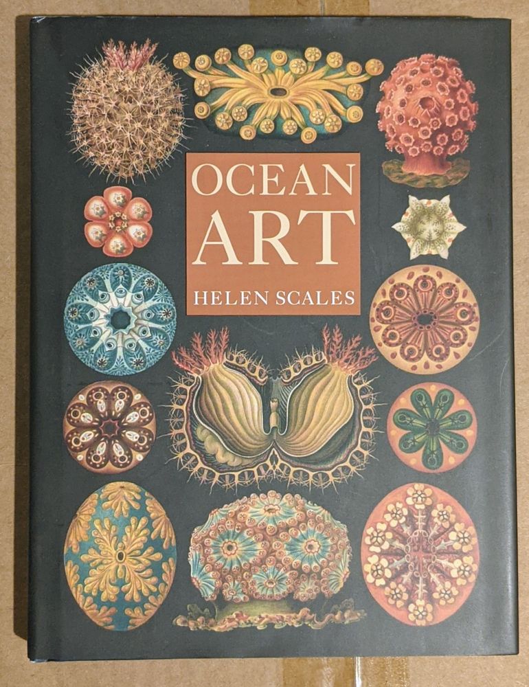 Ocean Art by Helen Scales