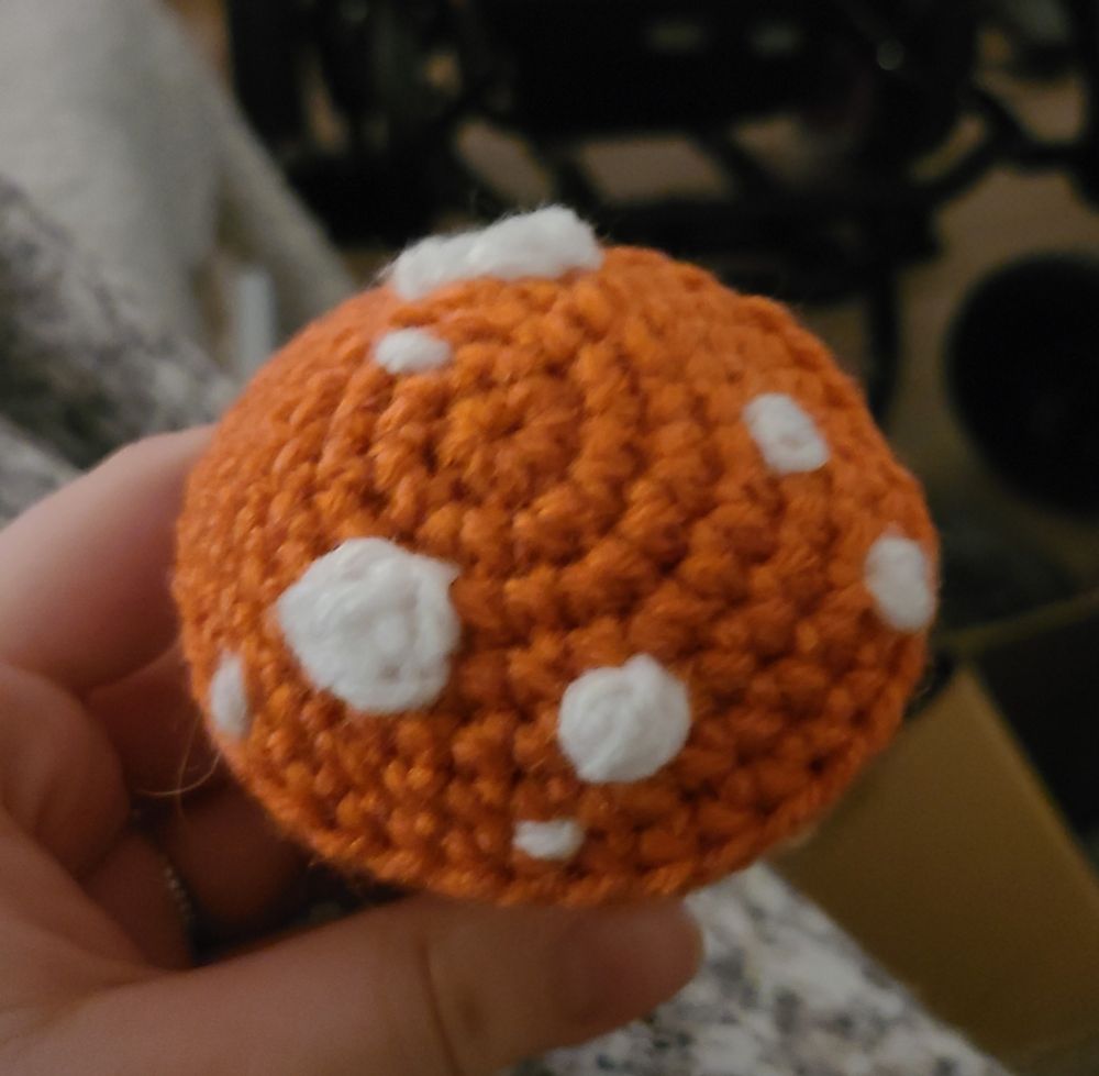 A view of the red spotted top of the mushroom :)