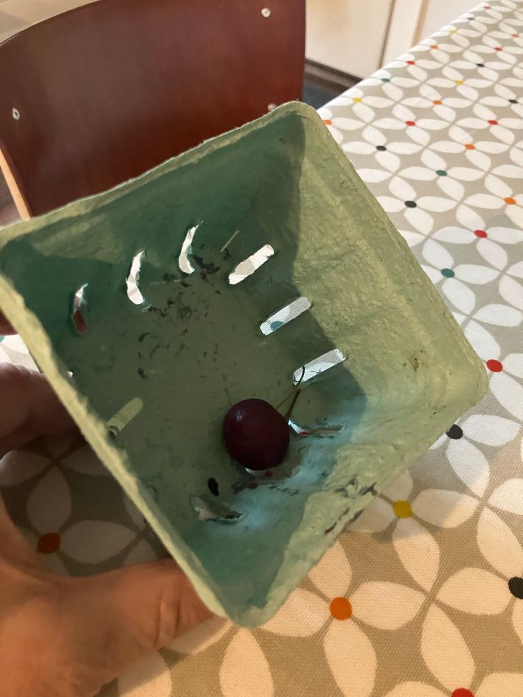 A punnet that has only a single cherry in it. 