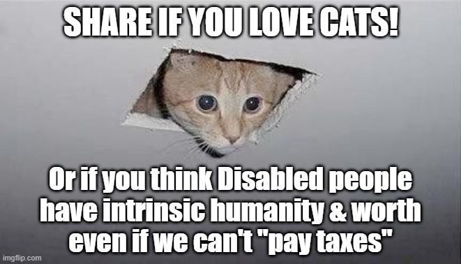 Meme of a Cat poking their head out of a hole in the ceiling. 

SHARE IF YOU LOVE CATS!
Or if you think Disabled people have intrinsic humanity & worth even if we can't "pay taxes"