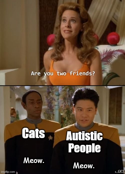 Tuvok and Kim Star Trek friend meme. 

Alein: "Are you to two Friend"

Tuvok: Labeled" Cats "Meow."

Kim" labeled: Autistic People "Meow."  