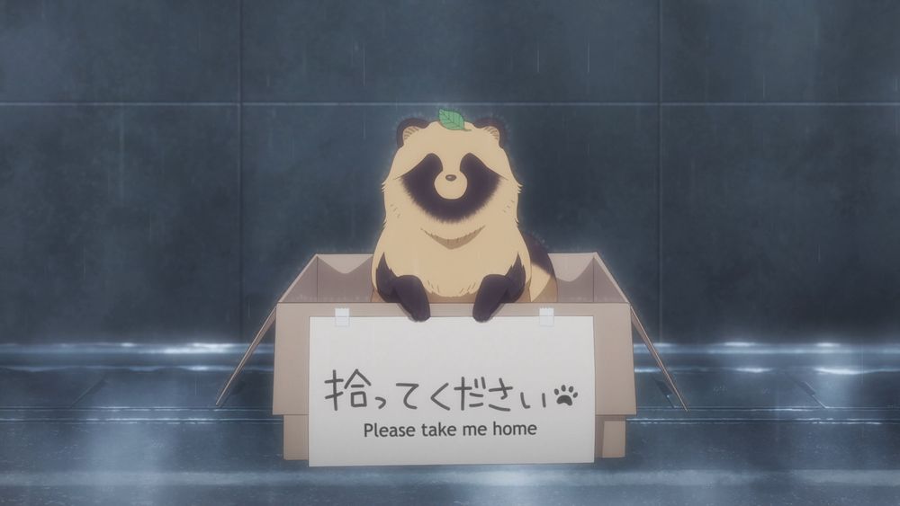 adorable animal in a box that has a sign that aisa "Please tame ke home."