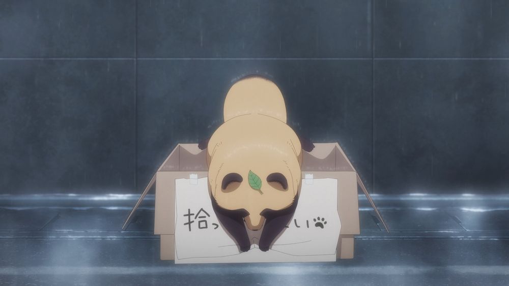 adorable anikmal is lifing the sign on their box