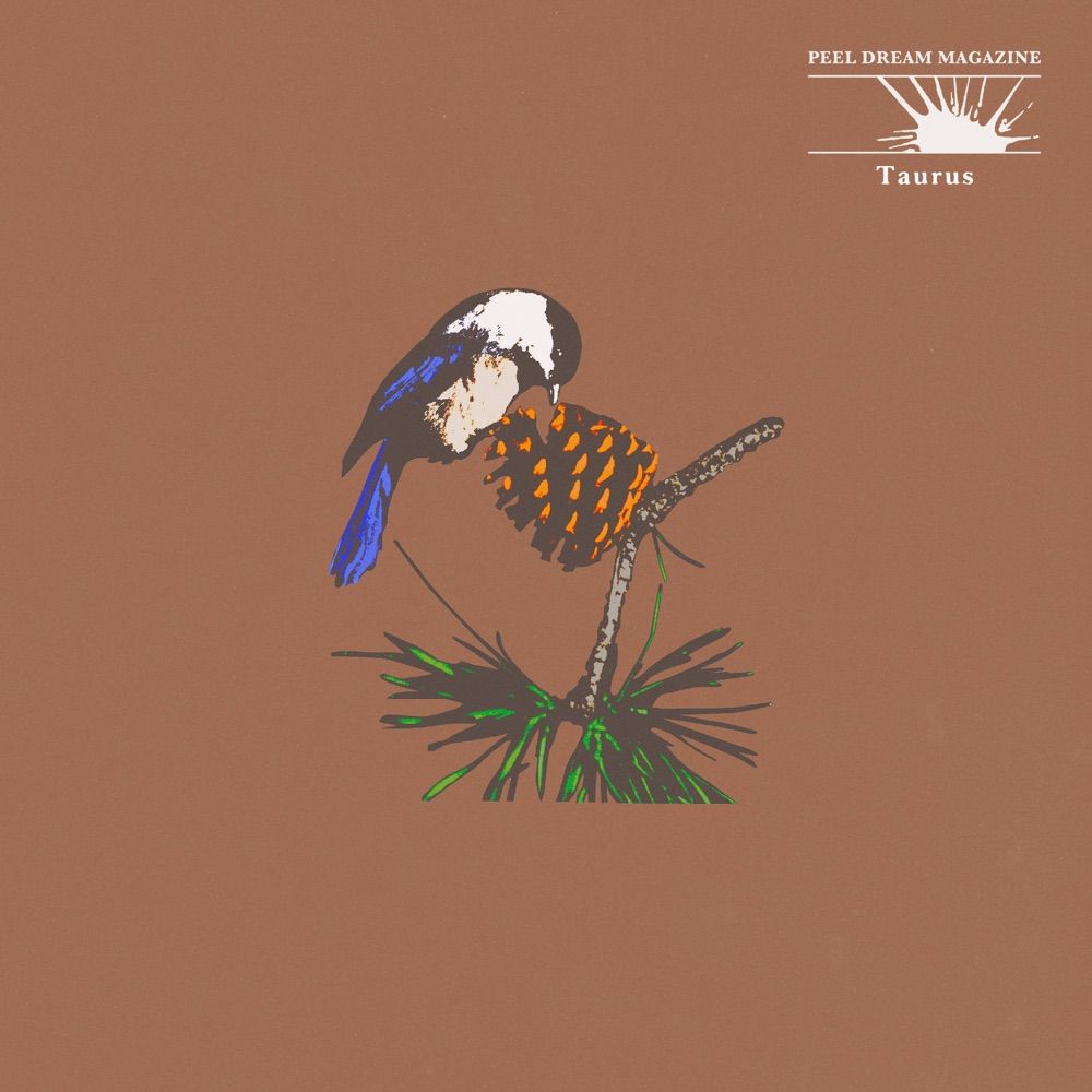 Peel Dream Magazine - Venus In Nadir