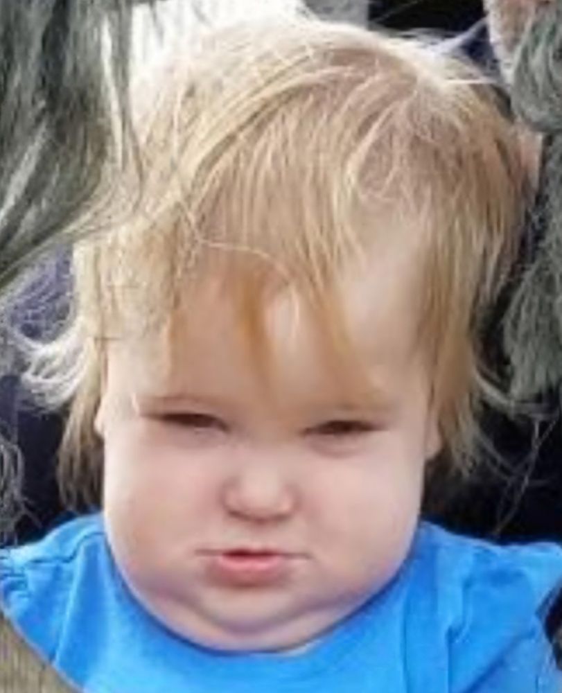 Photo of a 1.5 year old's face. The kid has blonde hair, chonky cheeks, and a death glare. 