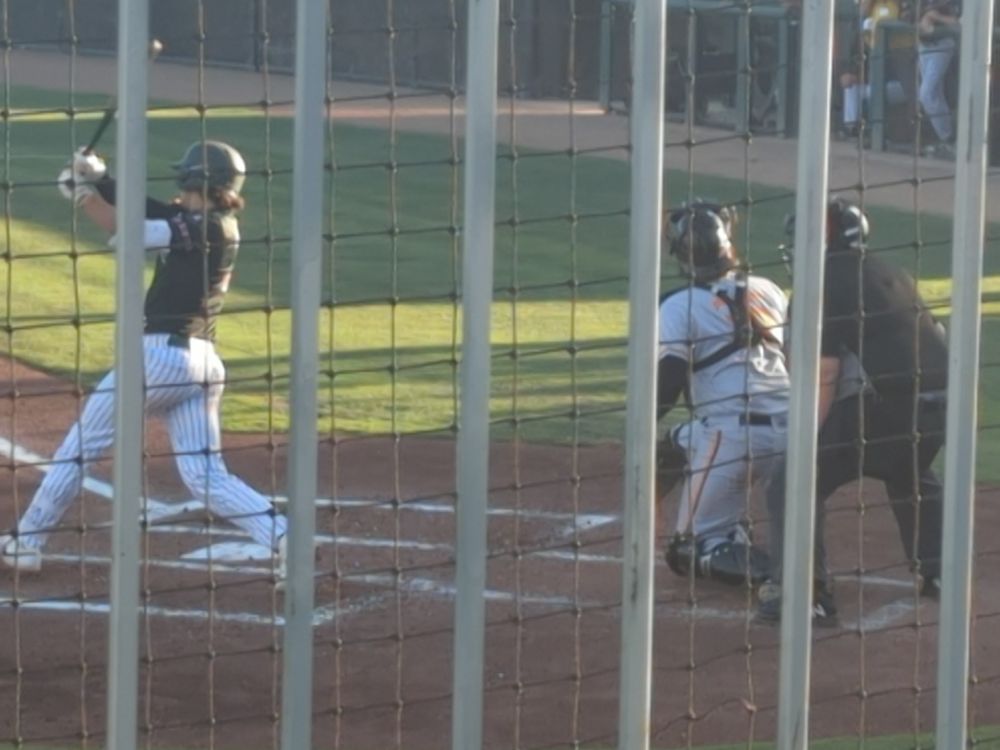 A Baller hitting a baseball. That one wound up a foul. Not a great view, through the fence and the net. The seat was actually better than it photographs. 