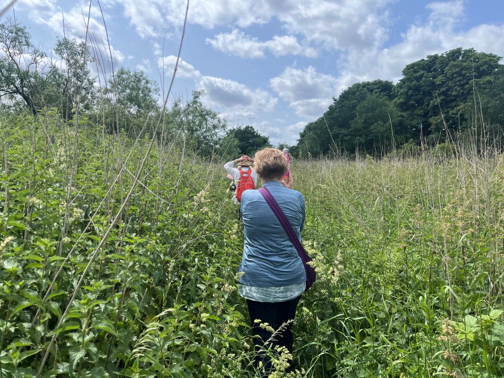 Walking through nettles