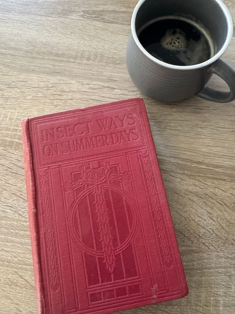 Cover of the book Insect Ways on Summer Days with a cup of coffee in the corner 
