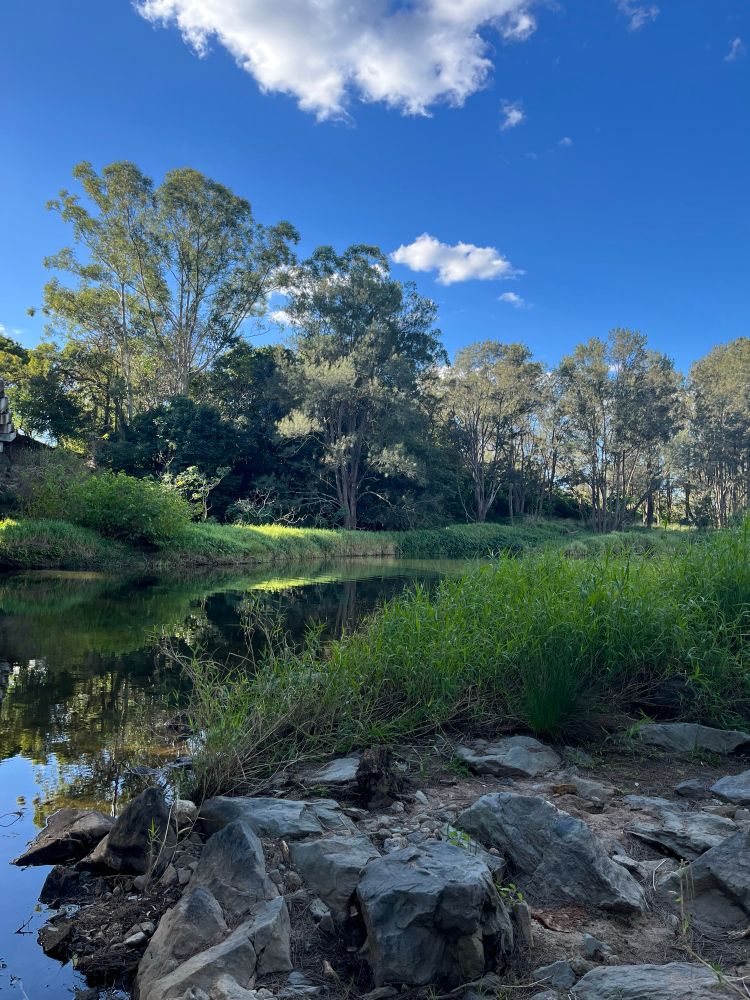 A view of a river with trees and a blue sky beyond
