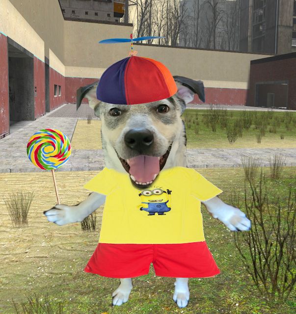 Dog with cartoon propeller, hat, and lollipop wearing a minions T-shirt