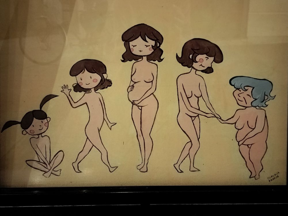 A cartoon of 'ages of women' showing five women of different ages from childhood to an older grey haired woman.