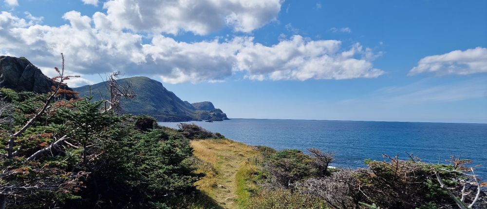 Küstenszenerie. Vorne schwach erkennbar ein Wanderweg zwischen Gestrüpp und niedrigen Nadelbäumen. Dahinter das Meer, links die Küste Neufundlands mit bewaldeten Bergen. Blauer Himmel mit einigen Wolken.