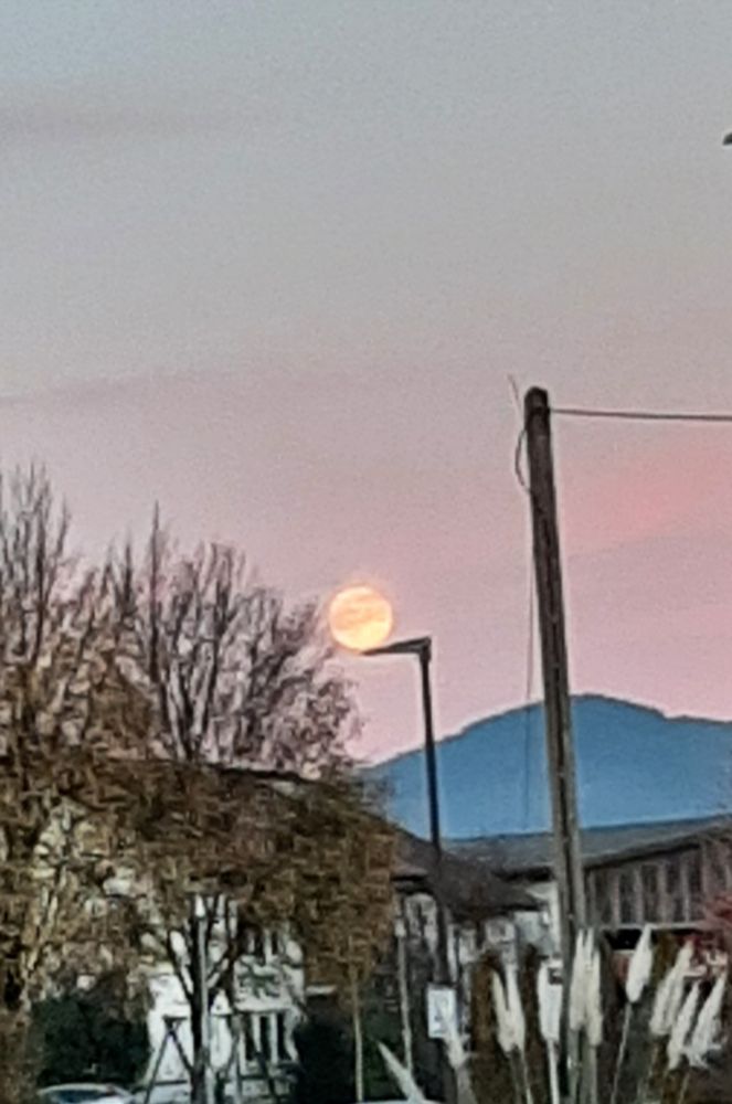 Vollmond am Abendhimmel mit lila Wolken. Es sieht so aus als ob eine Straßenlaterne und ein Baum den Mond halten. Im Hintergrund ein 
Hügel.
